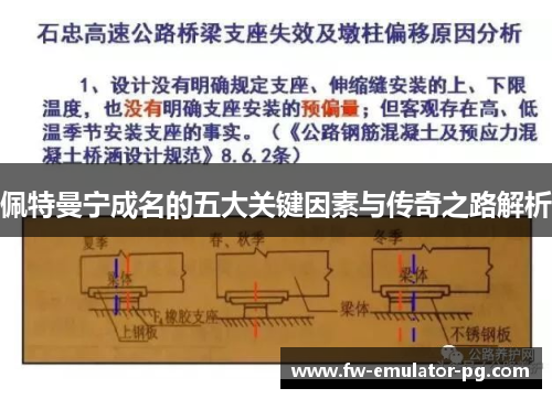 佩特曼宁成名的五大关键因素与传奇之路解析 佩特曼宁成名的五大关键因素与传奇之路解析