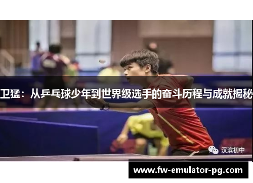 卫猛：从乒乓球少年到世界级选手的奋斗历程与成就揭秘