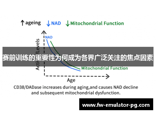 赛前训练的重要性为何成为各界广泛关注的焦点因素 赛前训练的重要性为何成为各界广泛关注的焦点因素
