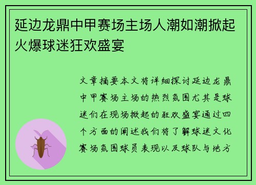 延边龙鼎中甲赛场主场人潮如潮掀起火爆球迷狂欢盛宴